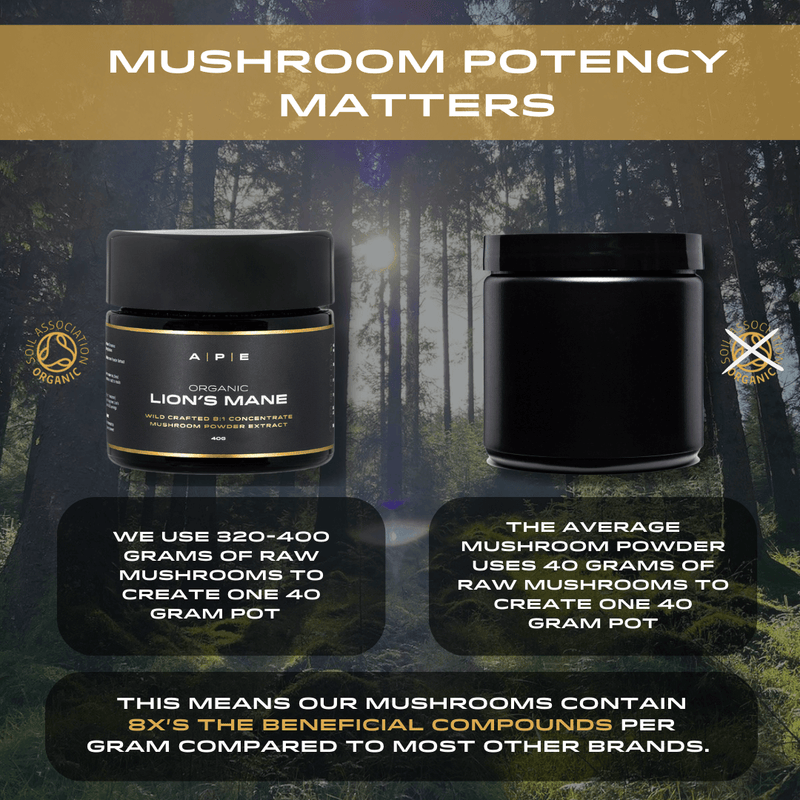 Organic Reishi
