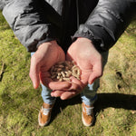 Grass-Fed Digestive Organ Complex