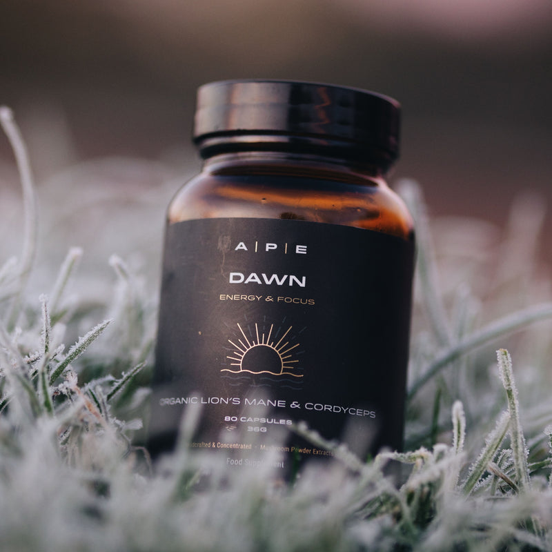 Dawn