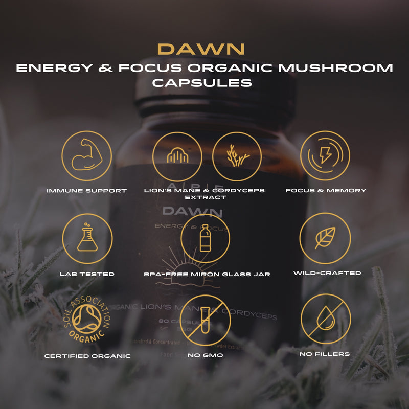 Dawn