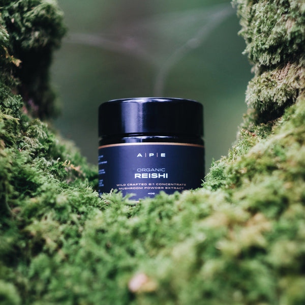 Organic Reishi