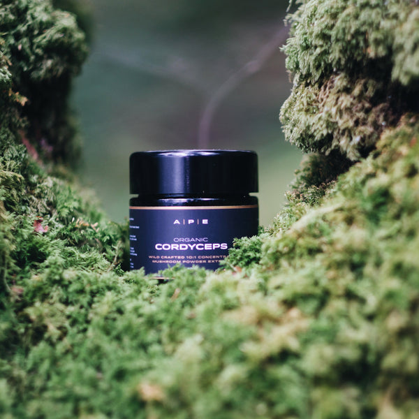 Organic Cordyceps