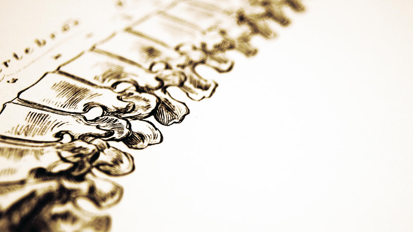 How You Can Heal, Improve & Support Your Bone Health