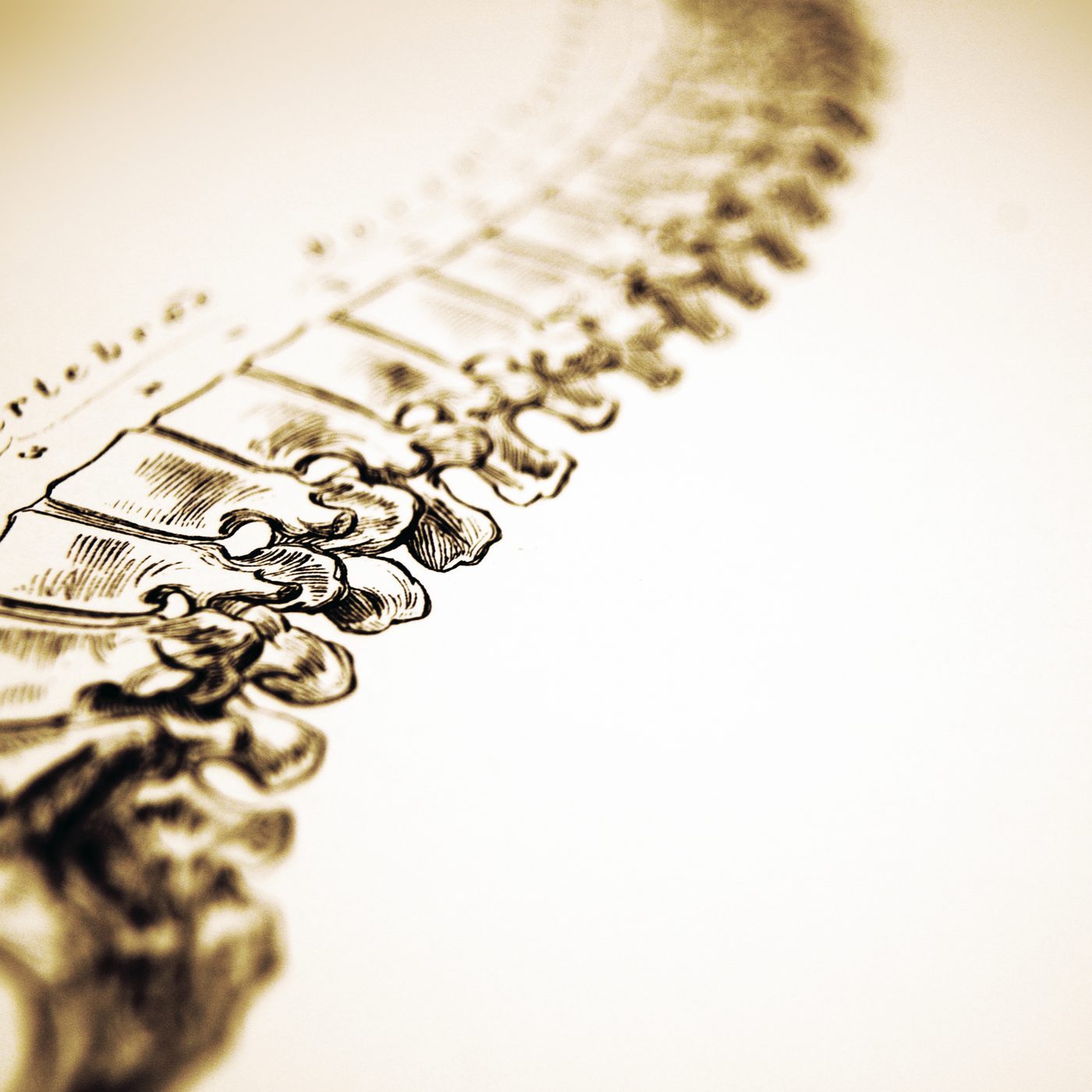 How You Can Heal, Improve & Support Your Bone Health