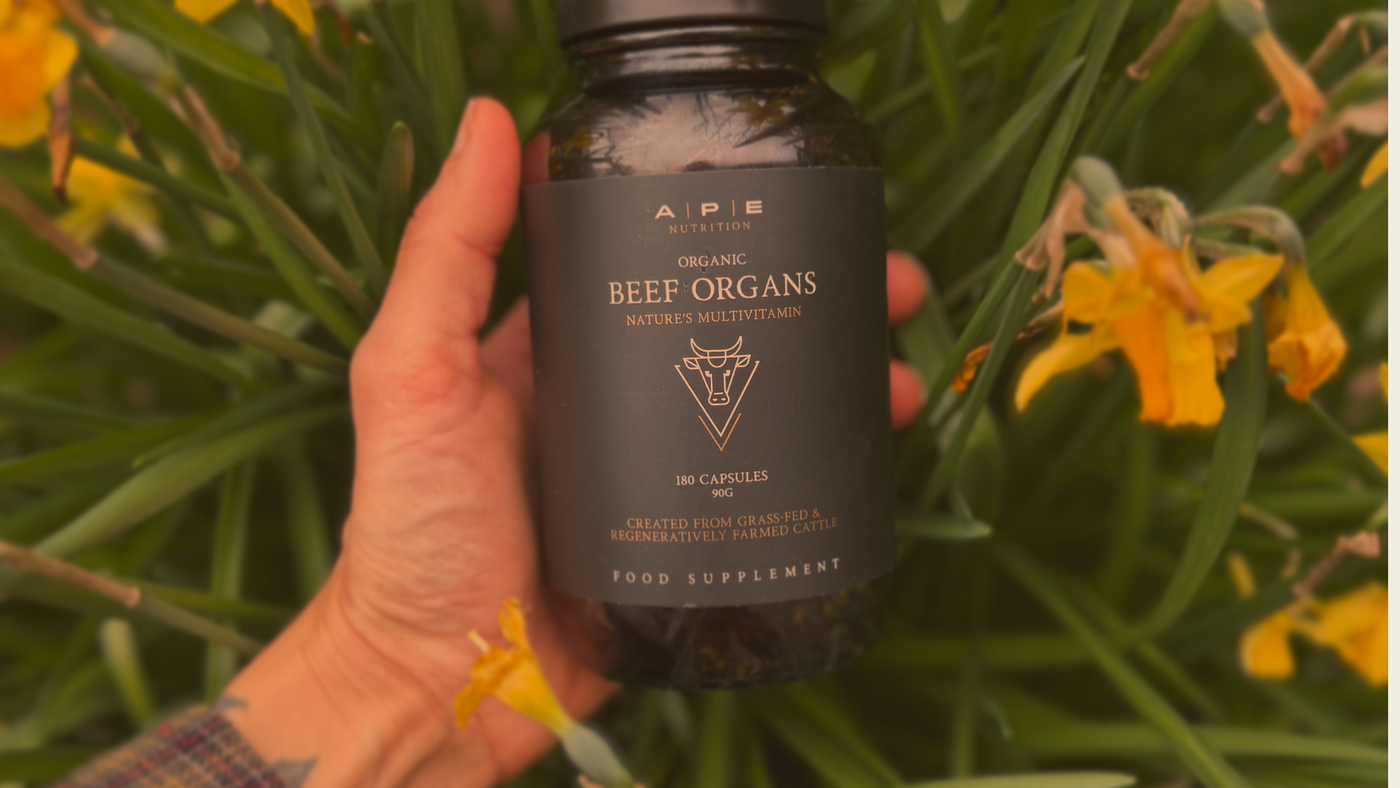 Beef Organs: What the research Says Pt. 1