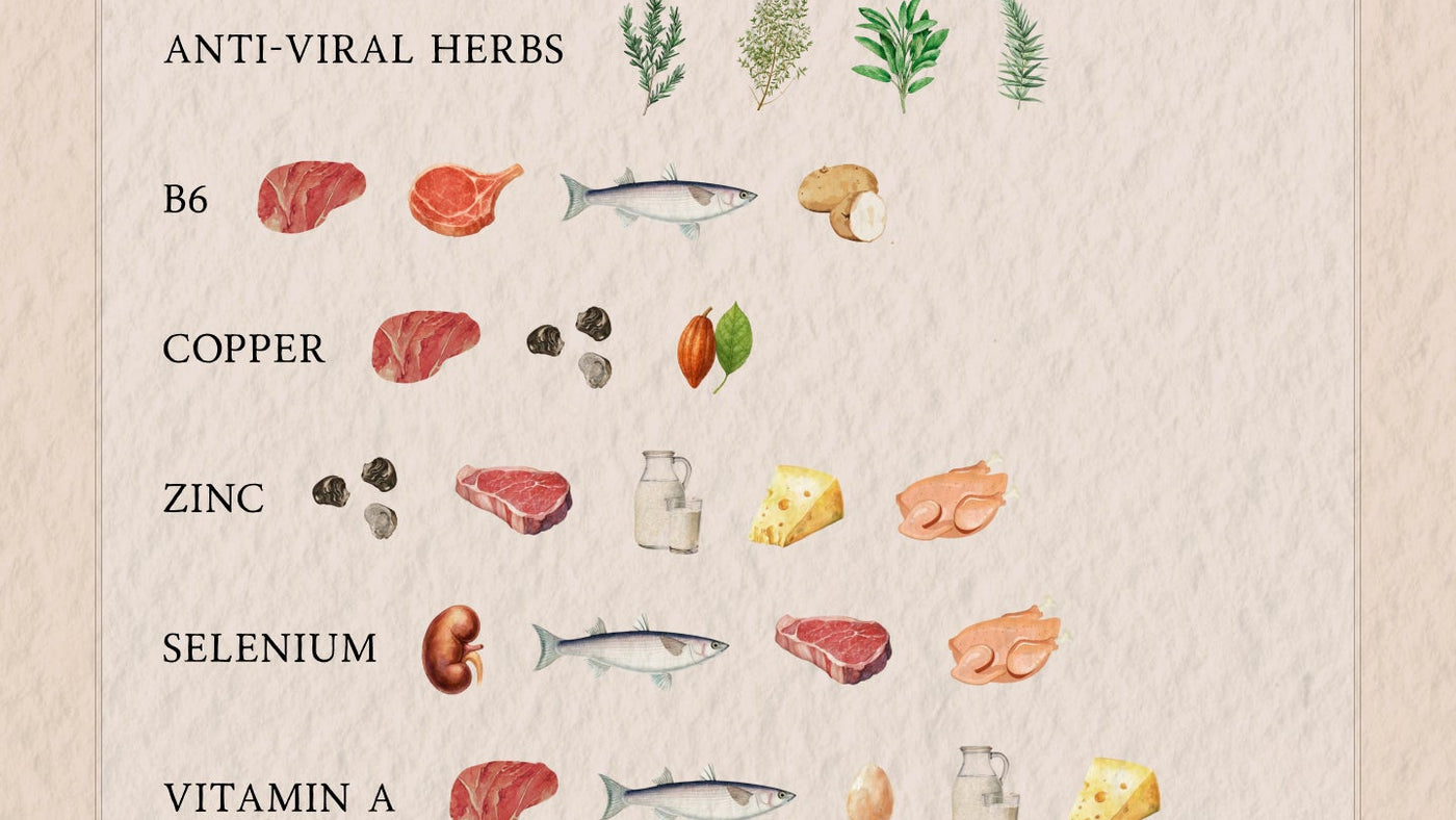 The Top 10 Nutrients For Winter Wellbeing by Emma Newlyn Naturopathic Nutritionist & Health Coach