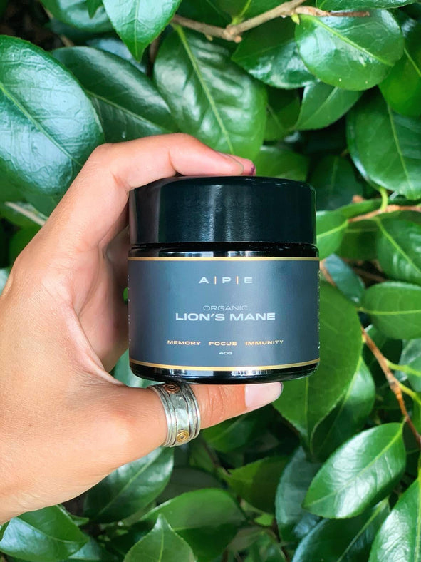 Lion's Mane Mushroom Benefits for Focus, Memory & Immunity