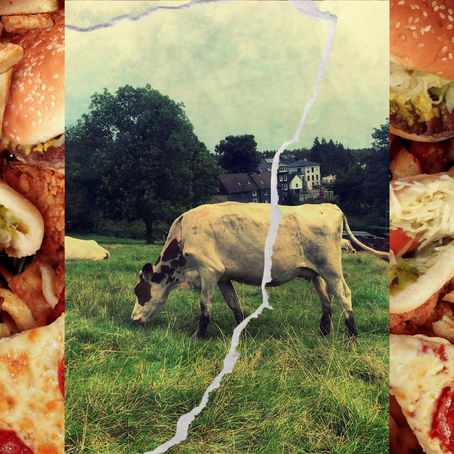BIG Food Just Hijacked Your Health (Again)