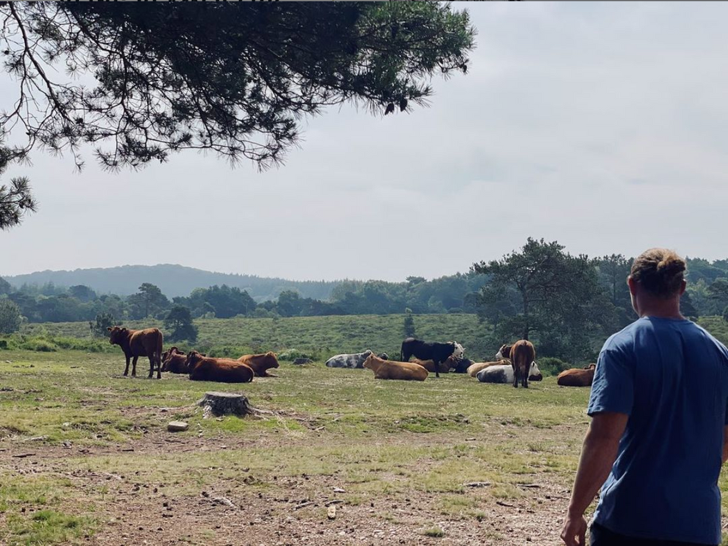 Why Eat Nose to Tail?