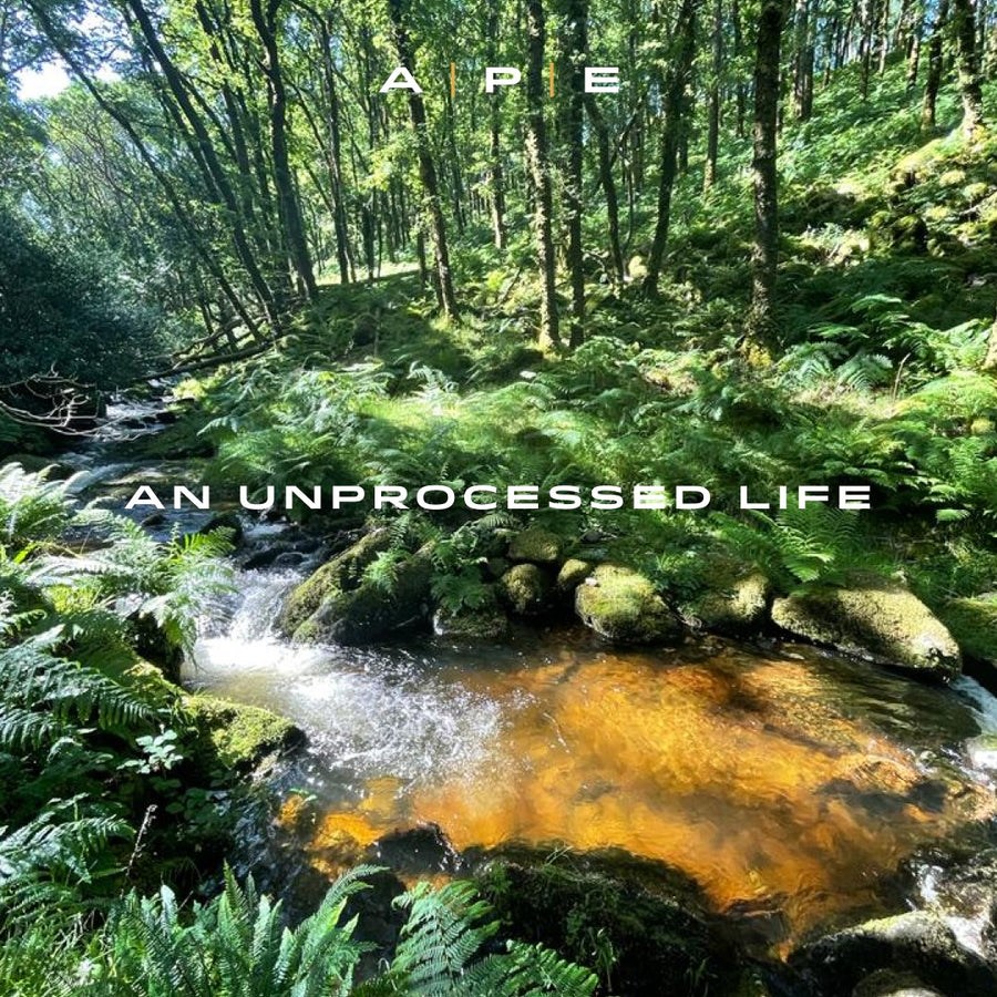 An Unprocessed Life