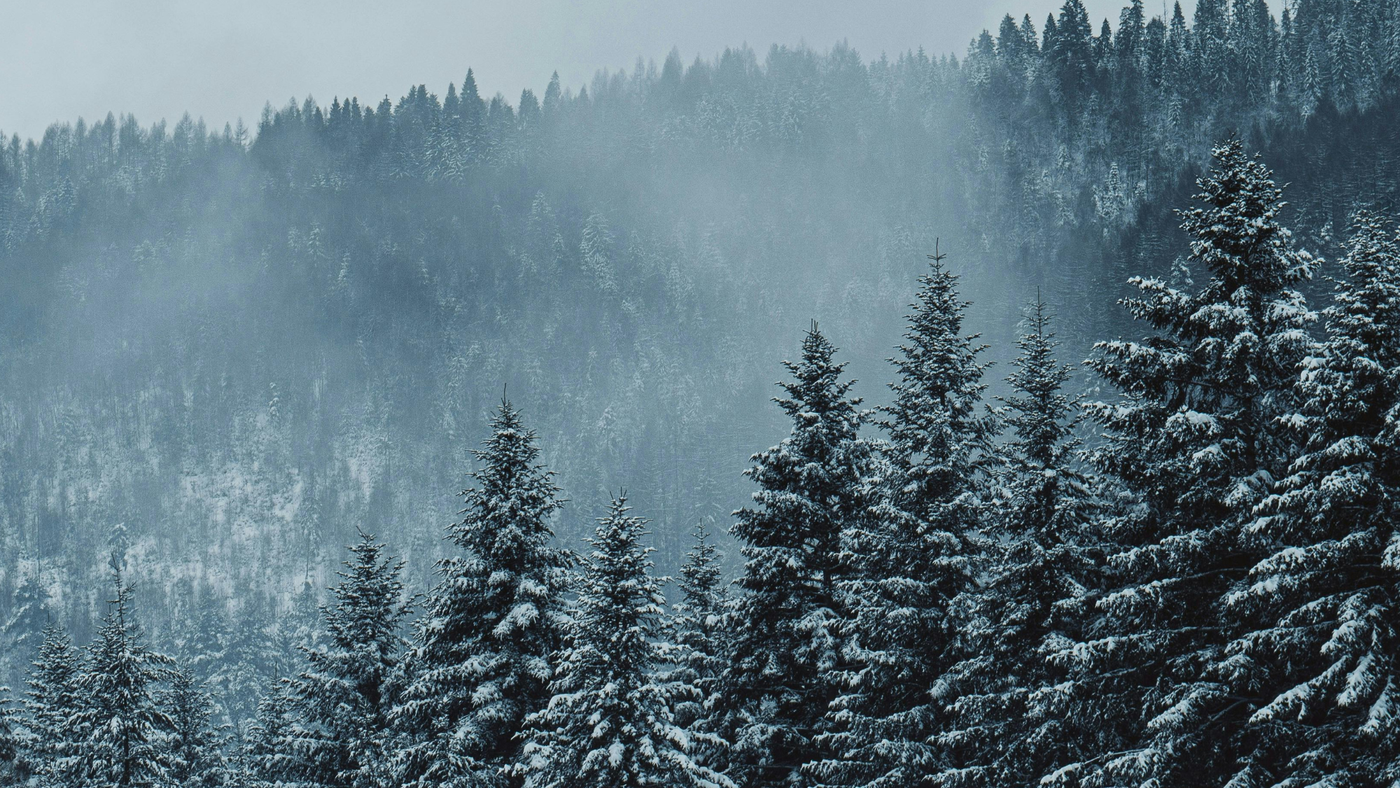 Your Winter Lifestyle Guide