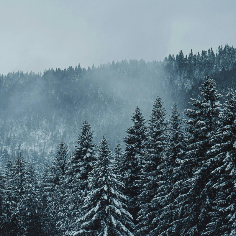 Your Winter Lifestyle Guide