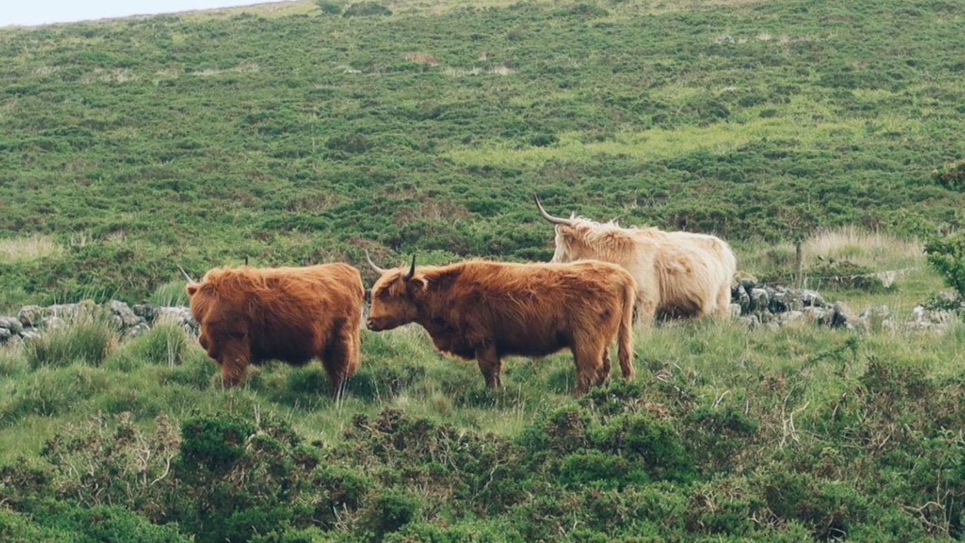 The Best (And Worst) Foods For Immunity