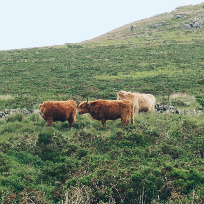 The Best (And Worst) Foods For Immunity