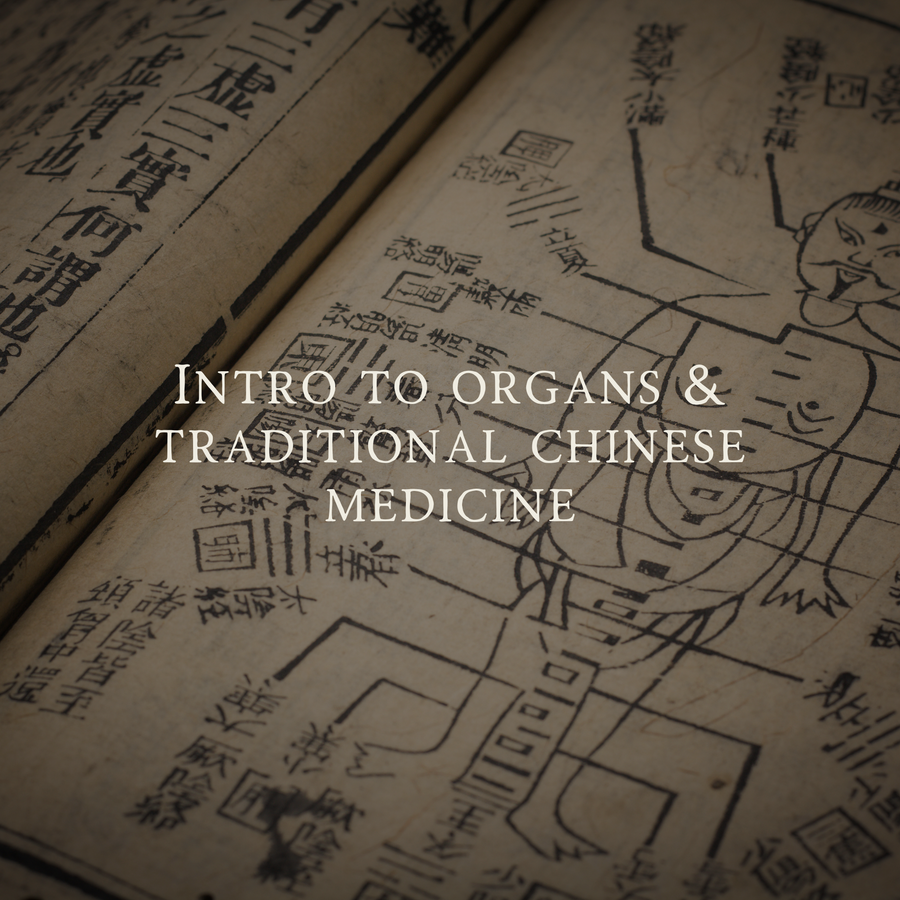 An Introduction to the Organs & Traditional Chinese Medicine (TCM)