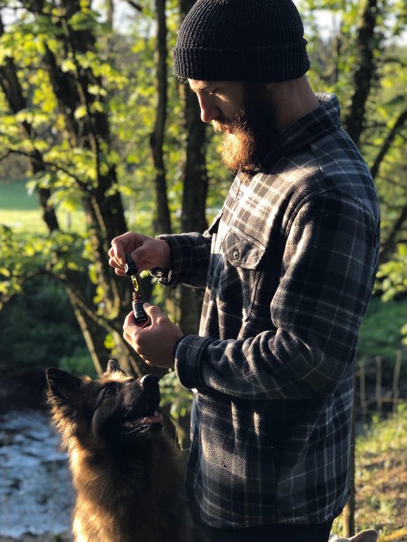 Organic Food | Why It’s Better And Why We’re Being Lied To