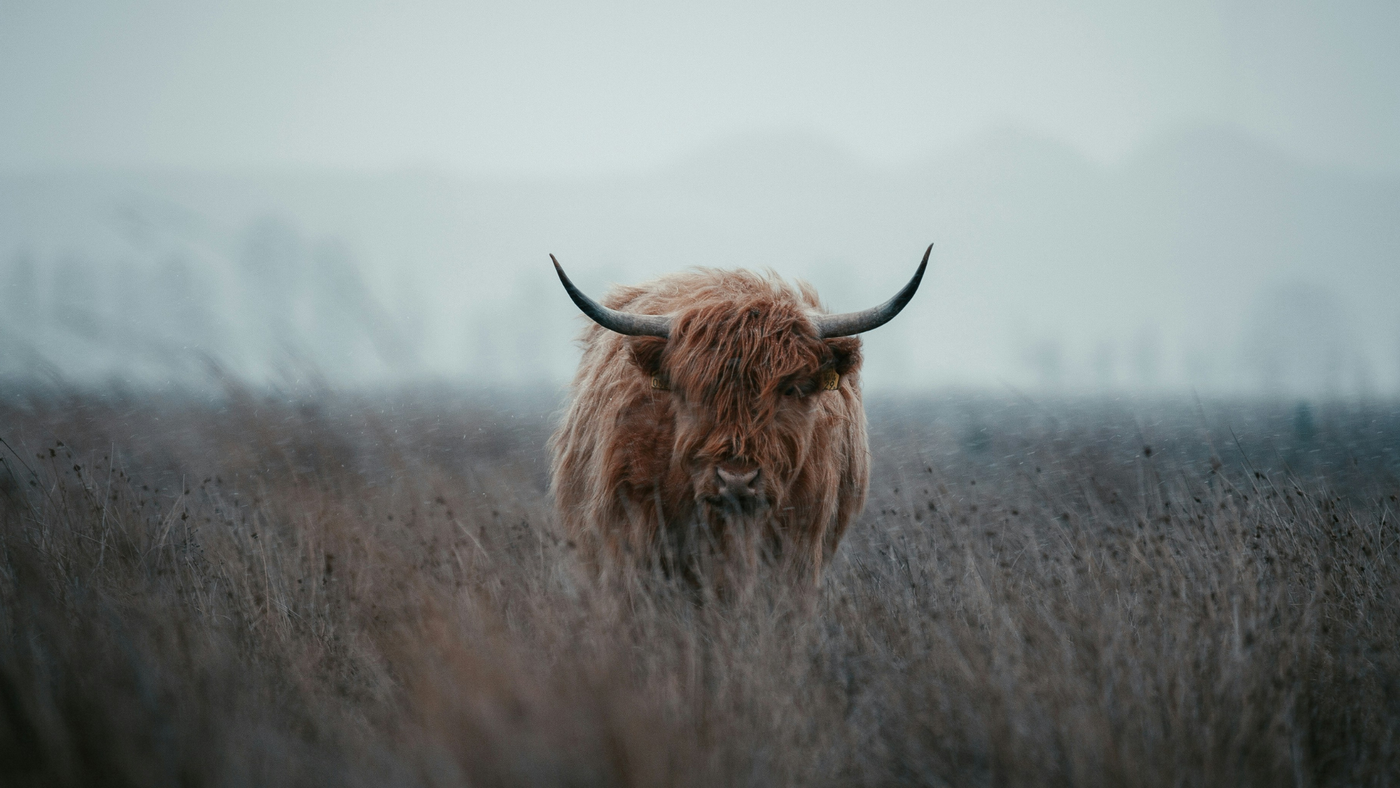 Men's Health Pt. 1: Understanding Your Nutritional Needs