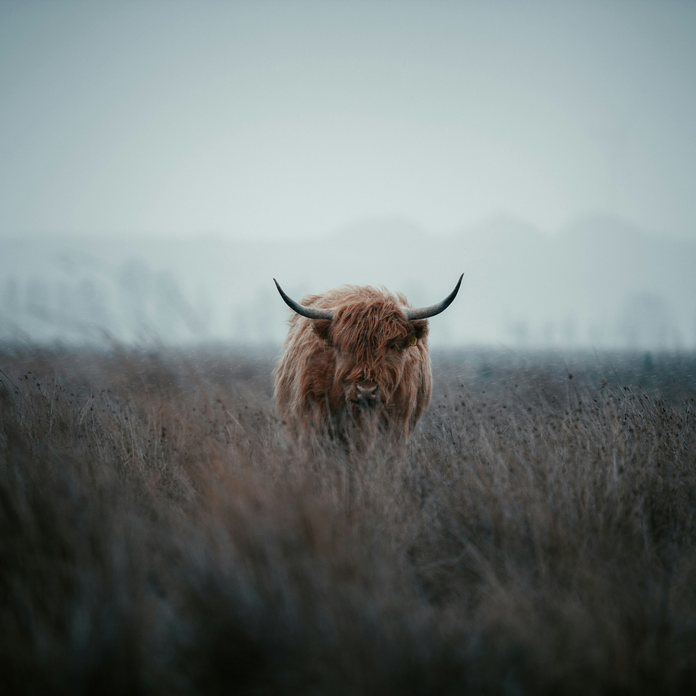 Men's Health Pt. 1: Understanding Your Nutritional Needs