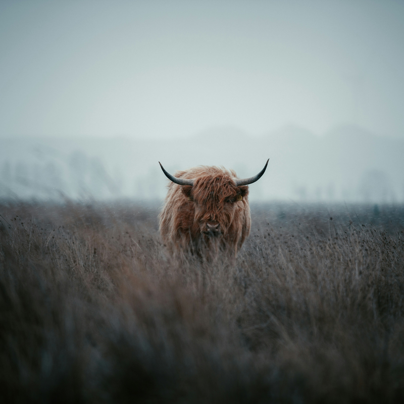 Men's Health Pt. 1: Understanding Your Nutritional Needs