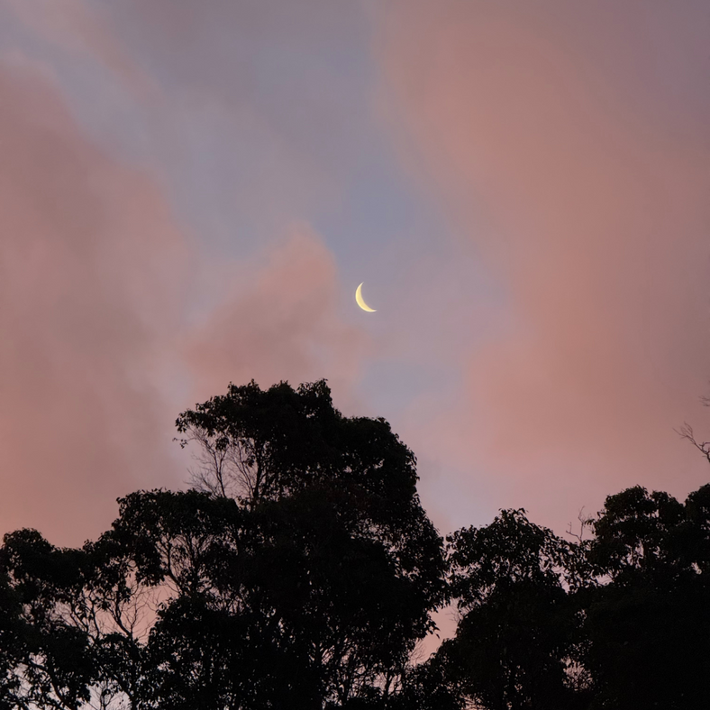 Women's Health Series Pt. 1: Understanding Your Nutritional Needs