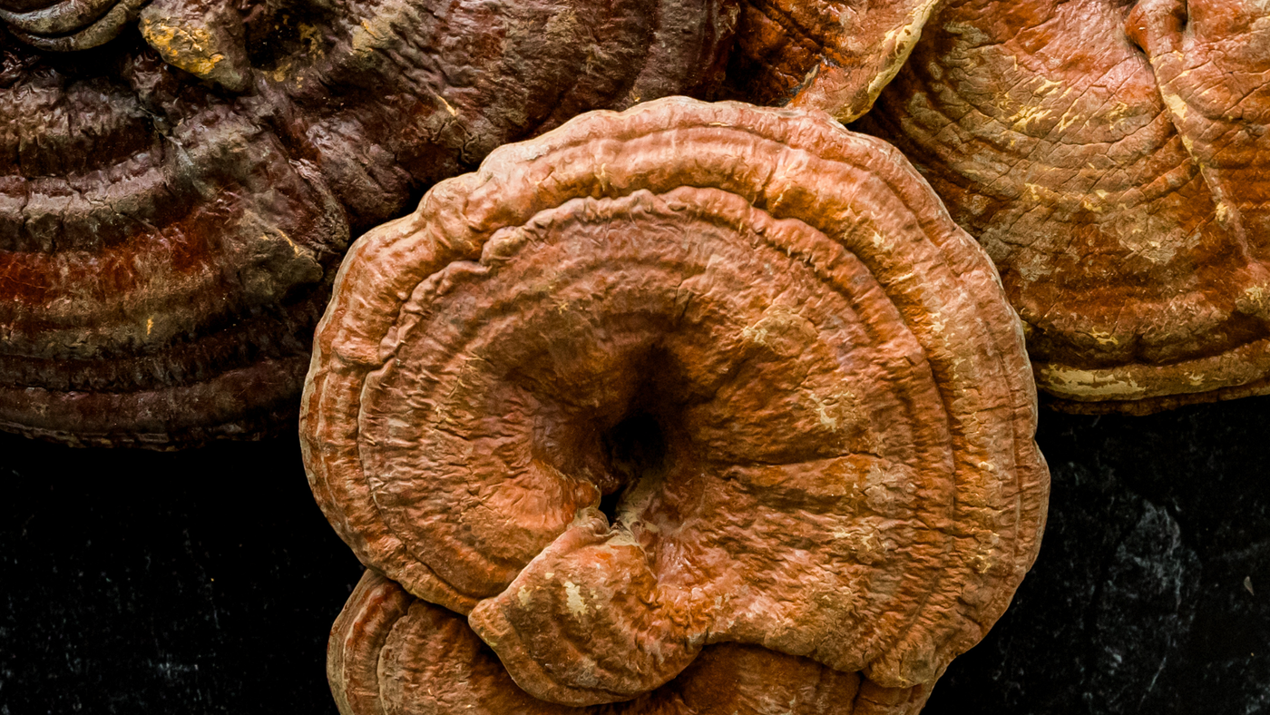 The Magic Of Functional Mushrooms & 5 Things A Nutritionist Want You To Know About Them