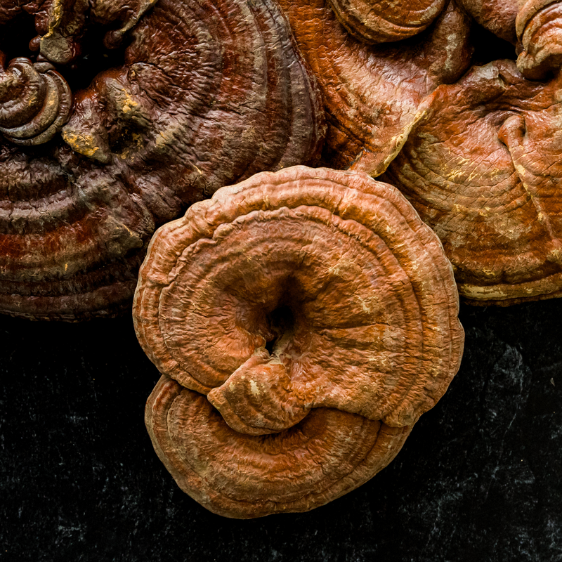 The Magic Of Functional Mushrooms & 5 Things A Nutritionist Want You To Know About Them