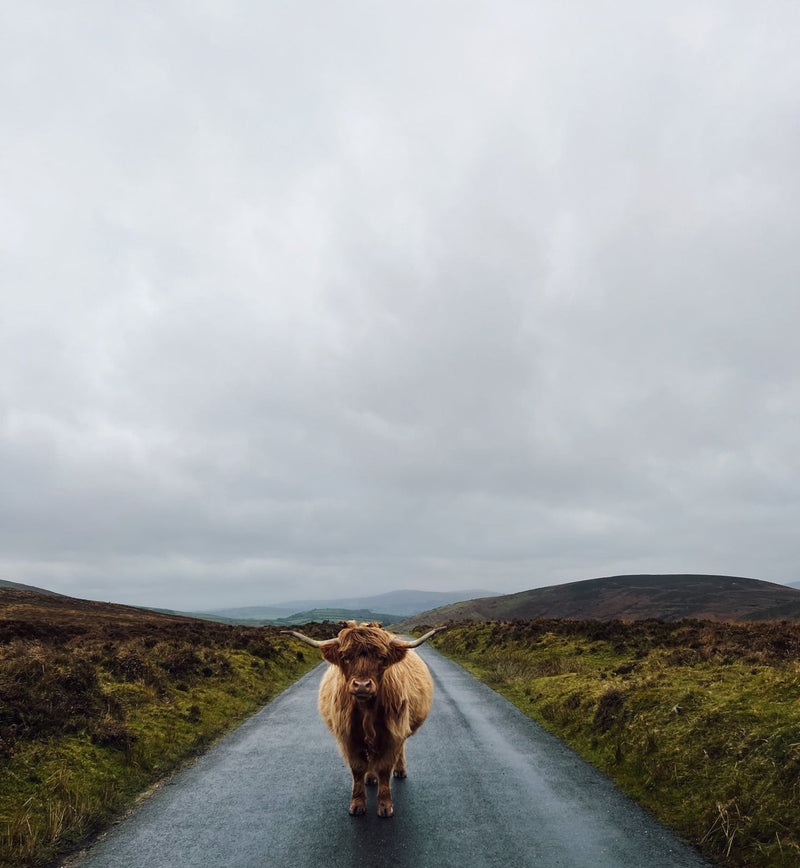 'Sustainable' Isn't Working: Why We Need To Think Regenerative