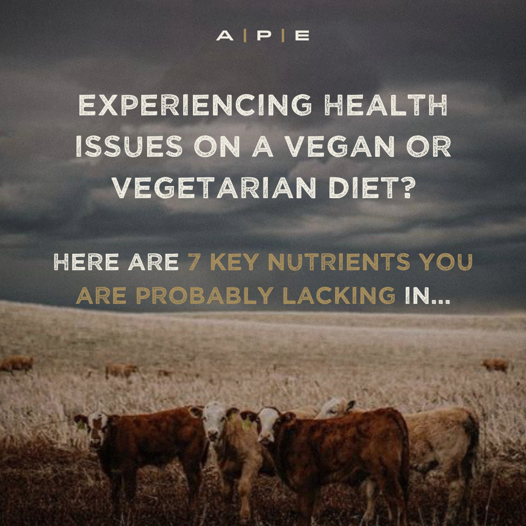 How Do I Replenish My Body After Being Vegan or Vegetarian?
