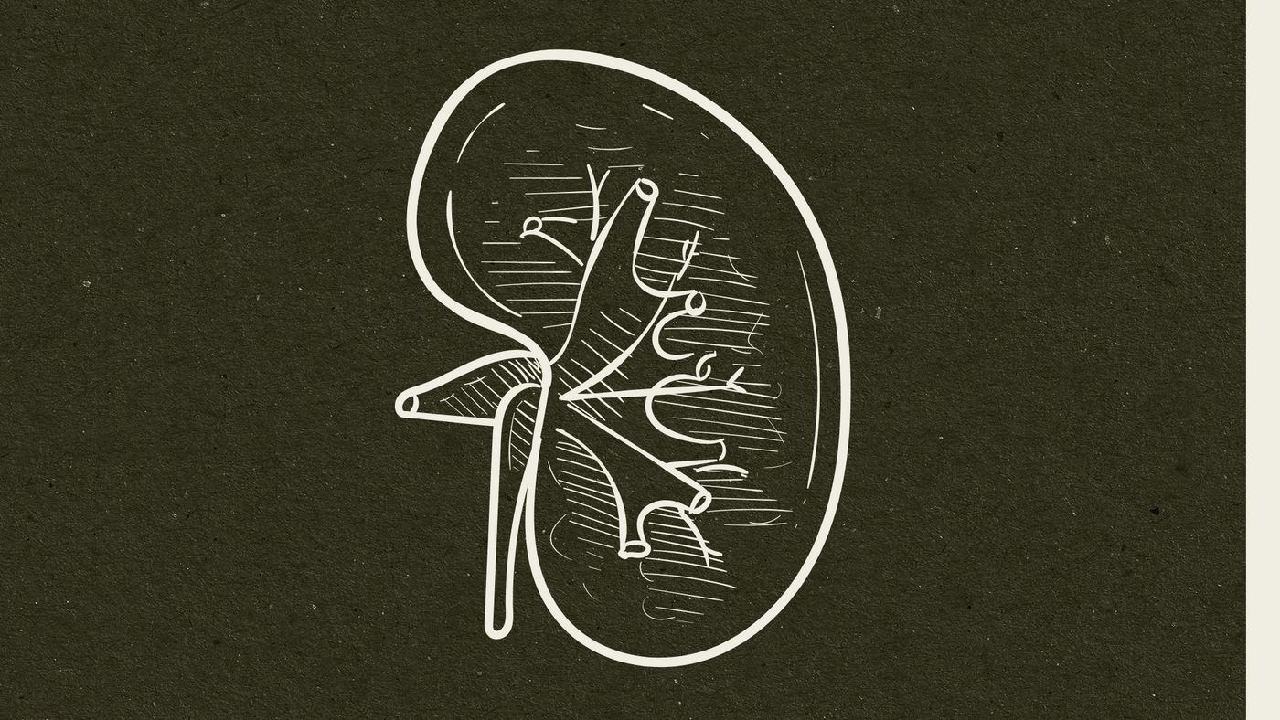 Iron; Why It’s Needed & The Best Ways To Truly Increase Your Levels by Emma Newlyn