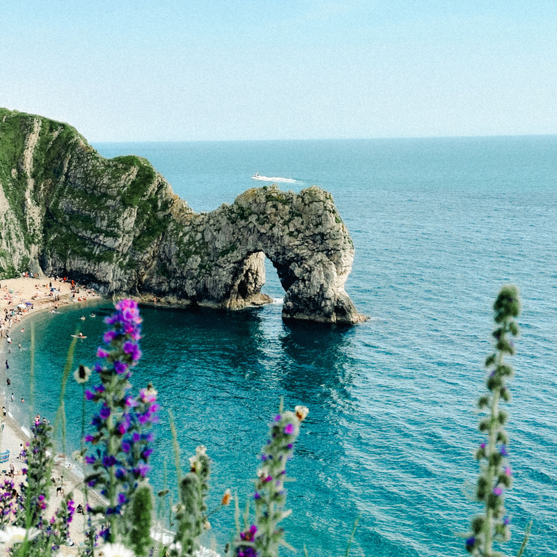 Your Summer Lifestyle Guide