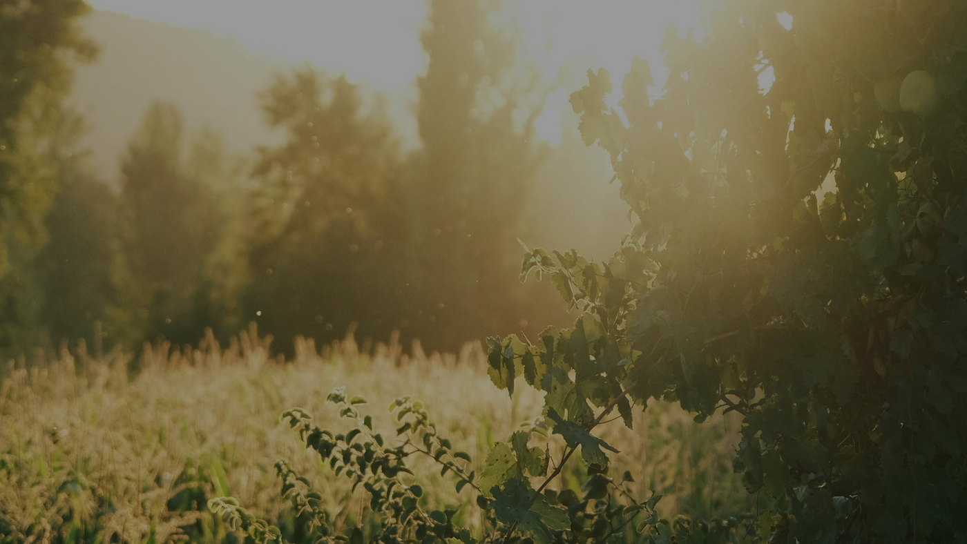 AI, Social Media & A Return To Nature