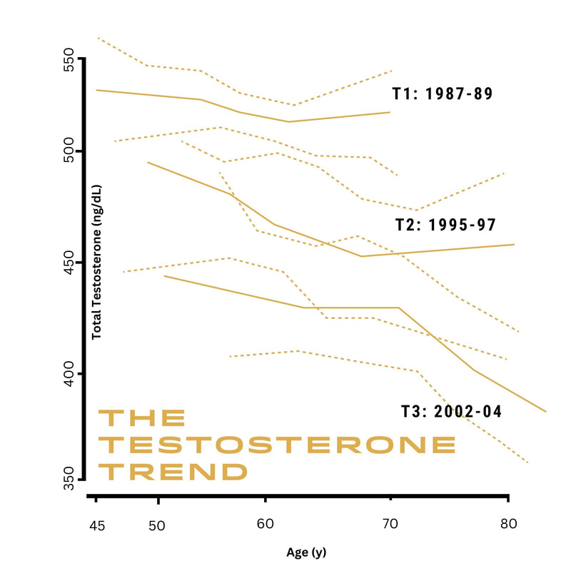 Why Testosterone Is Tanking & What You Can Do About It