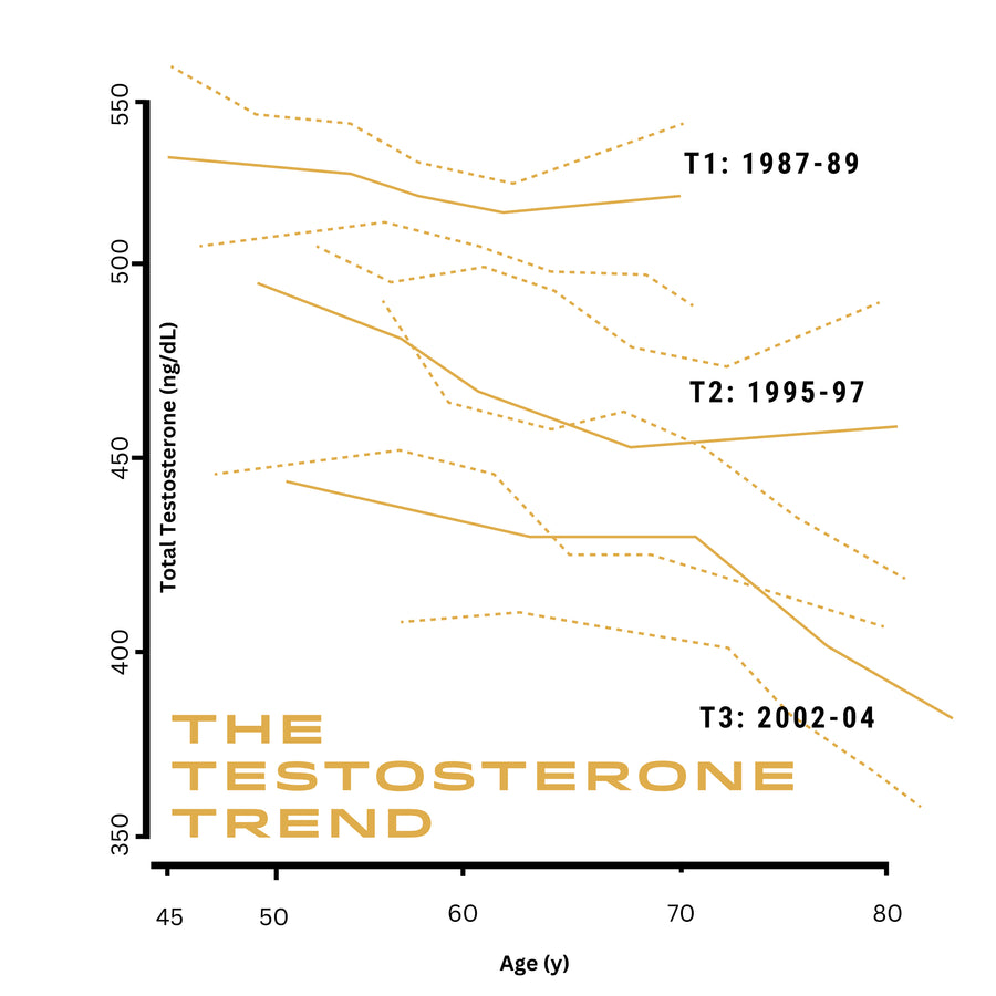 Why Testosterone Is Tanking & What You Can Do About It