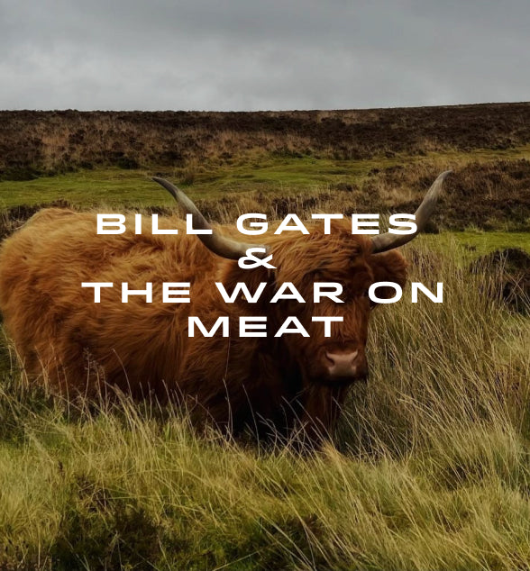 Bill Gates and The War on Meat