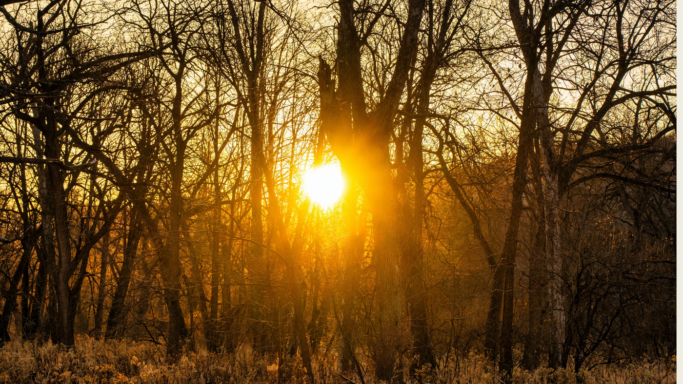 Supporting Your Circadian Health For Better Energy, Mood & Mindset