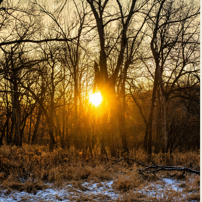 Supporting Your Circadian Health For Better Energy, Mood & Mindset