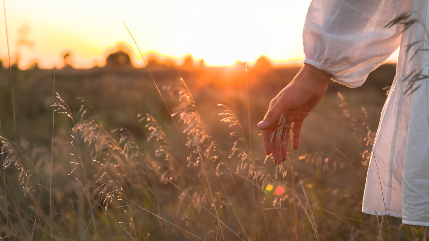 Women's Health Guide Pt. 2: Nature's Rhythms, Circadian Health & Hormone Balance