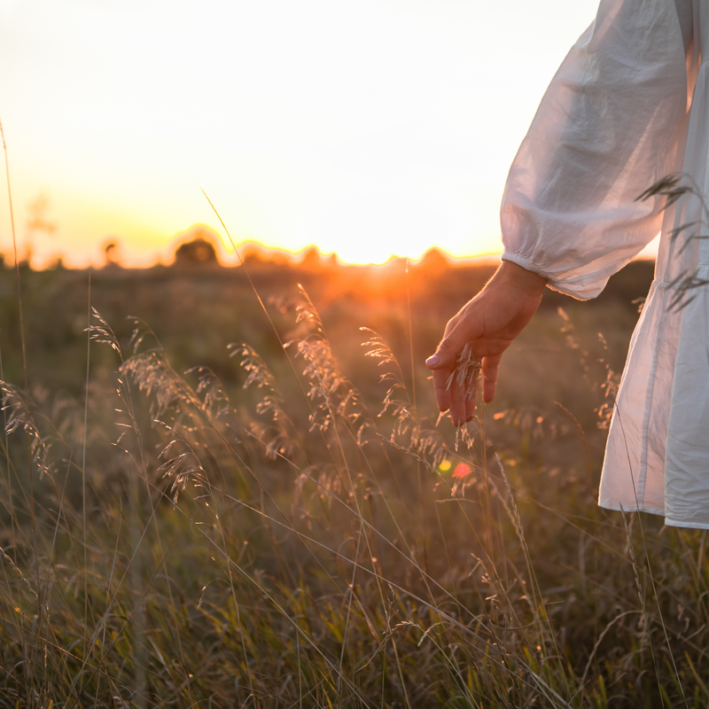 Women's Health Guide Pt. 2: Nature's Rhythms, Circadian Health & Hormone Balance