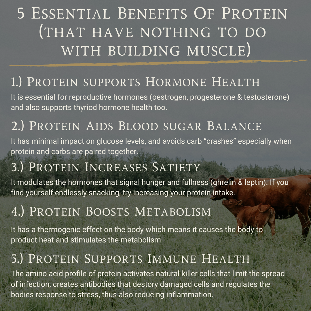 Grass-Fed Beef Protein | Unflavoured