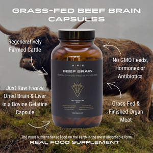 Beef Brain – APE Nutrition Ltd