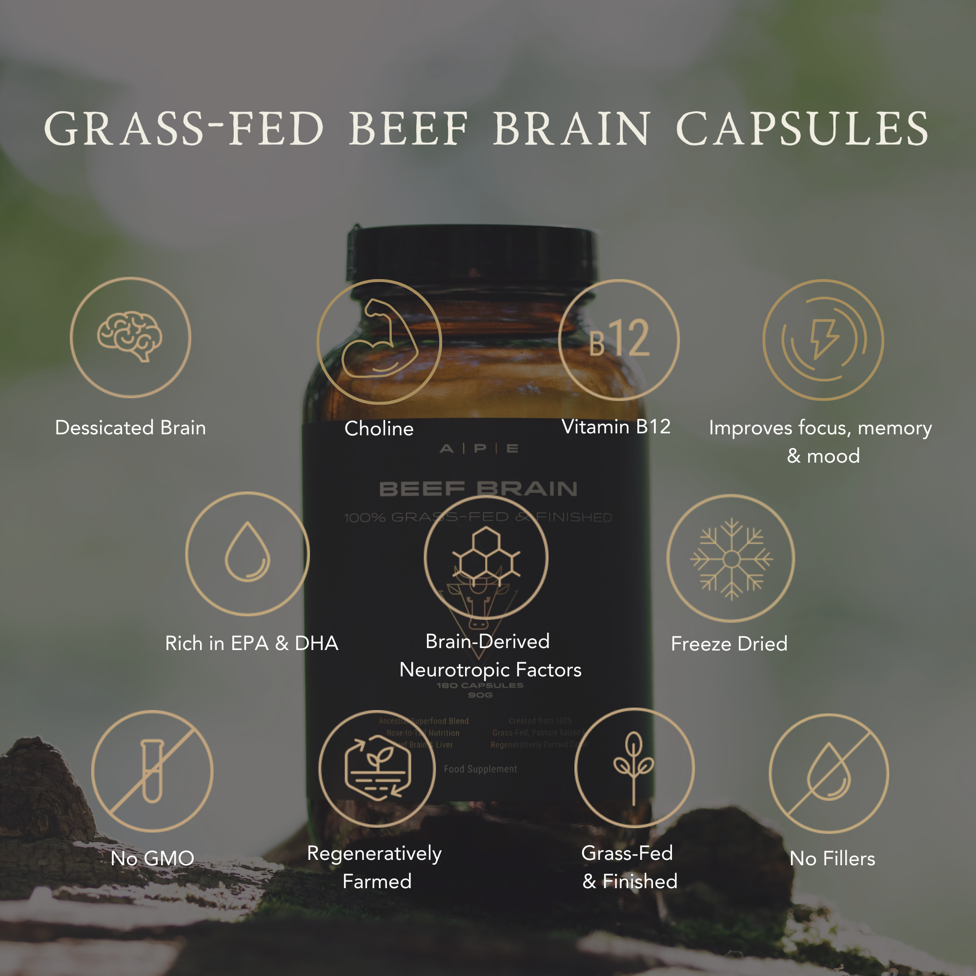 Beef Brain – APE Nutrition Ltd