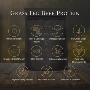 Grass-Fed Beef Protein | Madagascan Vanilla