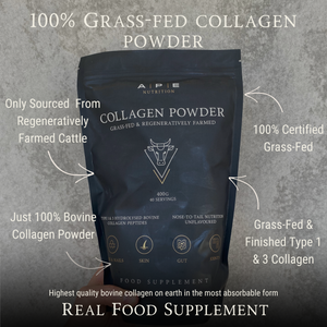 Foundations Bundle | Protein, Collagen & Beef Organs