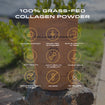Grass-Fed Collagen Powder