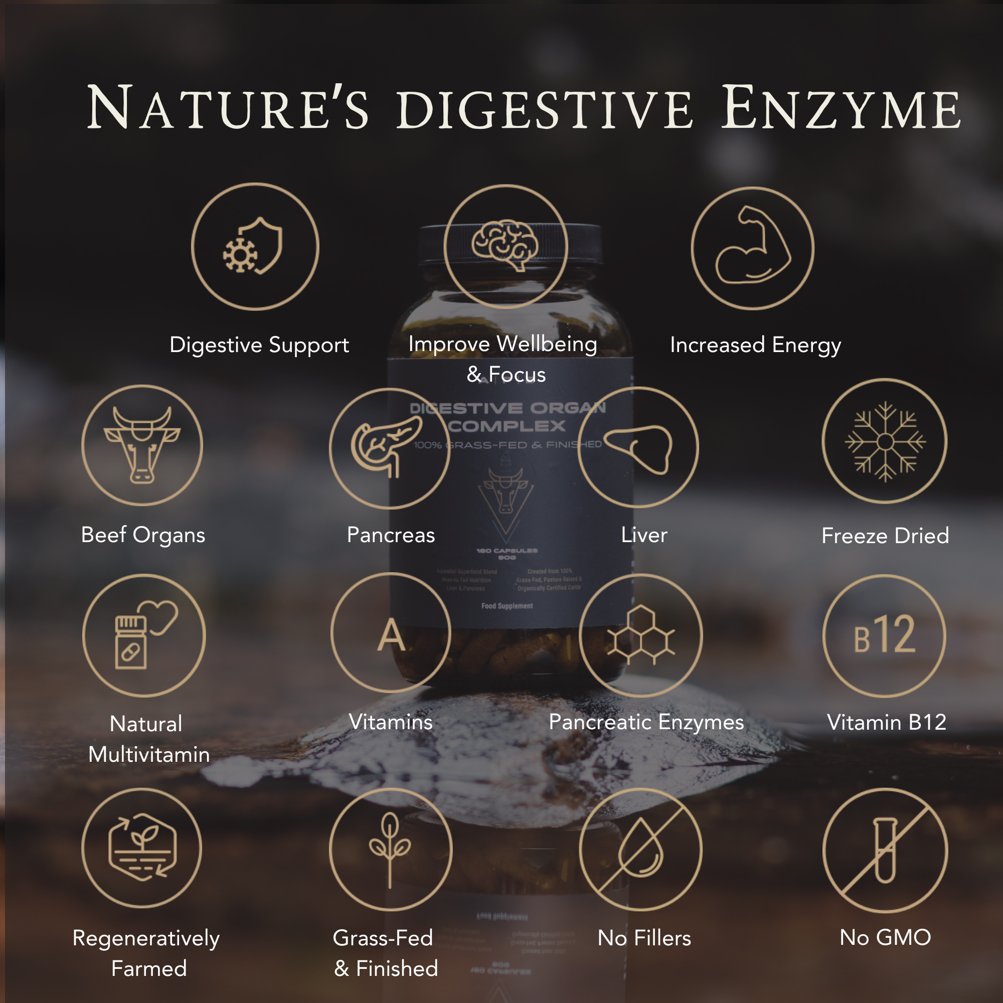 Grass-Fed Digestive Organ Complex