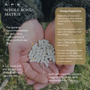 Whole Bone Matrix