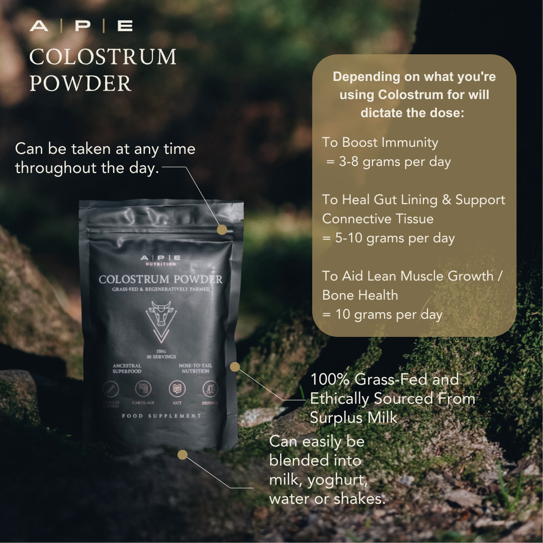 Gut & Digestion Bundle