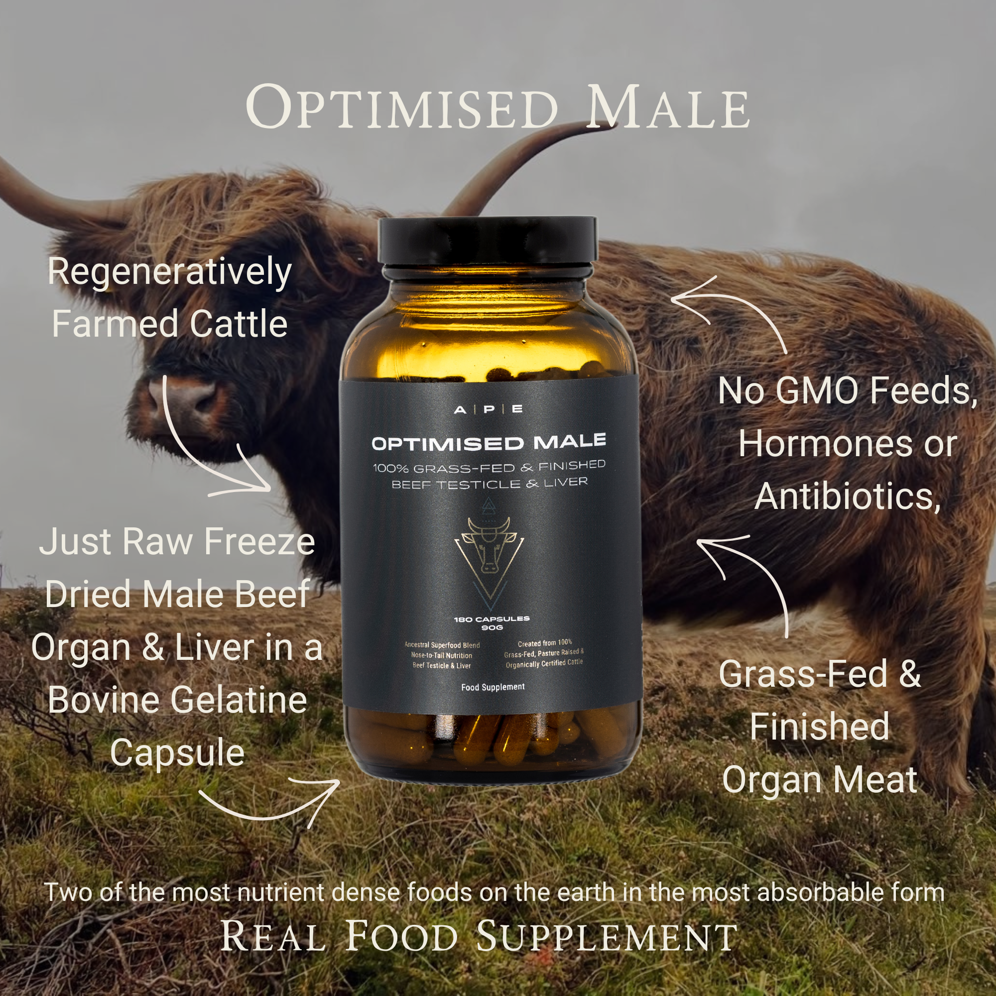 Male Vitality Bundle