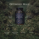 Optimised Male