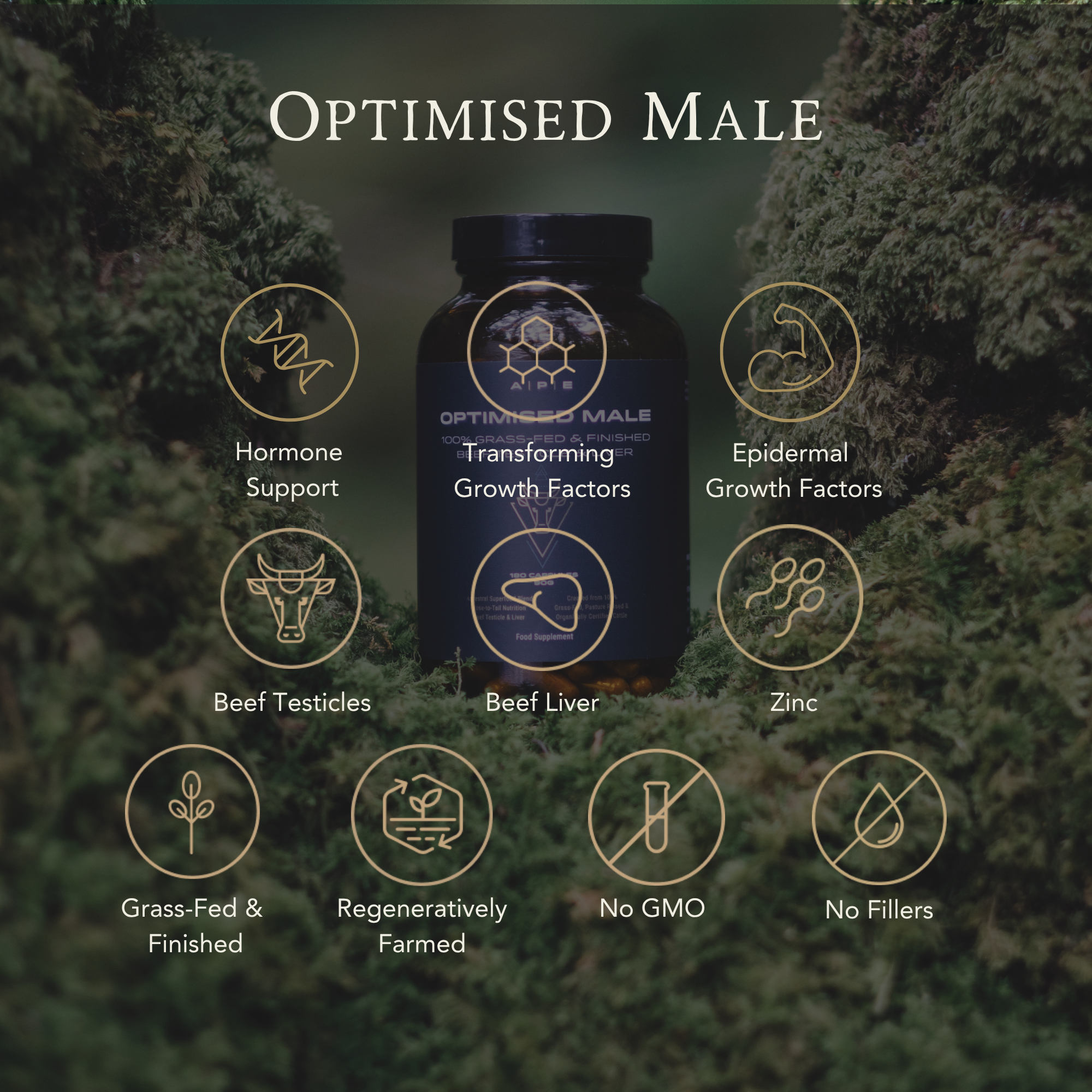 Optimised Male